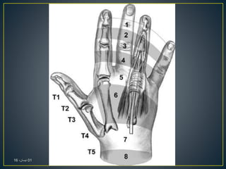01،‫نيسان‬16
 