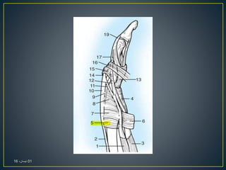 01،‫نيسان‬16
 