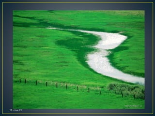 01،‫نيسان‬16
 