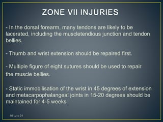 - In the dorsal forearm, many tendons are likely to be
lacerated, including the muscletendious junction and tendon
bellies.
- Thumb and wrist extension should be repaired first.
- Multiple figure of eight sutures should be used to repair
the muscle bellies.
- Static immobilisation of the wrist in 45 degrees of extension
and metacarpophalangeal joints in 15-20 degrees should be
maintained for 4-5 weeks
01،‫نيسان‬16
 