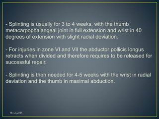 - Splinting is usually for 3 to 4 weeks, with the thumb
metacarpophalangeal joint in full extension and wrist in 40
degrees of extension with slight radial deviation.
- For injuries in zone VI and VII the abductor pollicis longus
retracts when divided and therefore requires to be released for
successful repair.
- Splinting is then needed for 4-5 weeks with the wrist in radial
deviation and the thumb in maximal abduction.
01،‫نيسان‬16
 