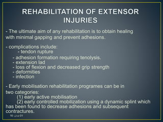 - The ultimate aim of any rehabilitation is to obtain healing
with minimal gapping and prevent adhesions.
- complications include:
- tendon rupture
- adhesion formation requiring tenolysis.
- extension lad
- loss of flexion and decreased grip strength
- deformities
- infection
- Early mobilisation rehabilitation programes can be in
two categories:
(1) early active mobilisation
(2) early controlled mobilization using a dynamic splint which
has been found to decrease adhesions and subsequent
contractures.
01،‫نيسان‬16
 