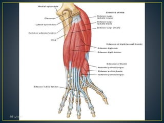 01،‫نيسان‬16
 