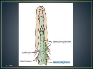 01،‫نيسان‬16
 