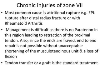 Chronic injuries of zone VII
• Most common cause is attritional rupture e.g. EPL
rupture after distal radius fracture or with
Rheumatoid Arthritis
• Management is difficult as there is no Paratenon in
this region leading to retraction of the proximal
tendon. Also, since the ends are frayed, end to end
repair is not possible without unacceptable
shortening of the musculotendinous unit & a loss of
flexion
• Tendon transfer or a graft is the standard treatment
 