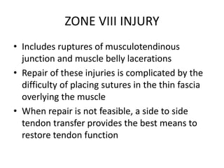 ZONE VIII INJURY
• Includes ruptures of musculotendinous
junction and muscle belly lacerations
• Repair of these injuries is complicated by the
difficulty of placing sutures in the thin fascia
overlying the muscle
• When repair is not feasible, a side to side
tendon transfer provides the best means to
restore tendon function
 