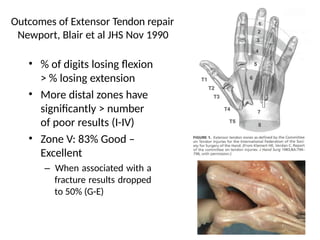 Comprehensive Management of Extensor Tendon Injuries: Repair ...