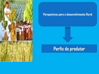 Perspectivas para o desenvolvimento Rural
Perfis do produtor
 