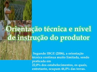 Orientação técnica e nível
de instrução do produtor
Segundo IBGE (2006), a orientação
técnica continua muito limitada, sendo
praticada em
22,0% dos estabelecimentos, os quais,
entretanto, ocupam 46,0% das terras.
 