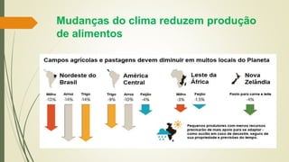 Mudanças do clima reduzem produção
de alimentos
 