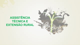 ASSISTÊNCIA
TÉCNICA E
EXTENSÃO RURAL
 