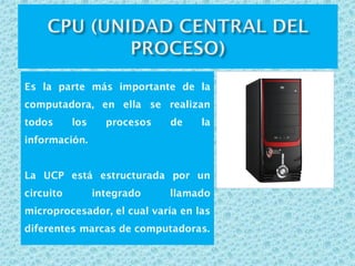 Es la parte más importante de la
computadora, en ella se realizan
todos los procesos de la
información.
La UCP está estructurada por un
circuito integrado llamado
microprocesador, el cual varía en las
diferentes marcas de computadoras.
 