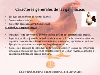 Caracteres generales de las gallinaceas
• Las aves son animales de hábitos diurnos
• Son especies omnívoras
• Presentan acentuado dimorfismo sexual.
El individuo, la especie, la raza

•   Individuo.- todo ser viviente, animal o vegetal dotado por características propias.
•   Especie .- es el conjunto de individuos dotados no solo de la misma constitución
    orgánica, sino de las mismas características, cualidades, aptitudes e instintos.
    Ejemplo: los pavos son una especie y las gallinas son otras
•   Raza .- es el conjunto de individuos de la misma especie en los que por influencias
    externas o internas han aparecido características o se les han revelado aptitudes o
    cualidades distintas a la especie originaria.
 