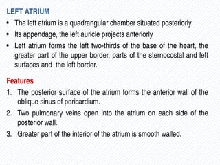 EXTERIOR OF HEART.pptx And coronary circulation | PPTX