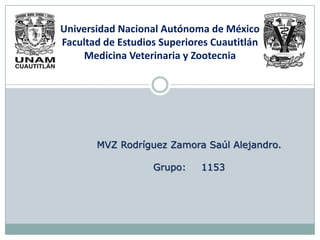 Universidad Nacional Autónoma de México
Facultad de Estudios Superiores Cuautitlán
    Medicina Veterinaria y Zootecnia




       MVZ Rodríguez Zamora Saúl Alejandro.

                   Grupo:    1153
 