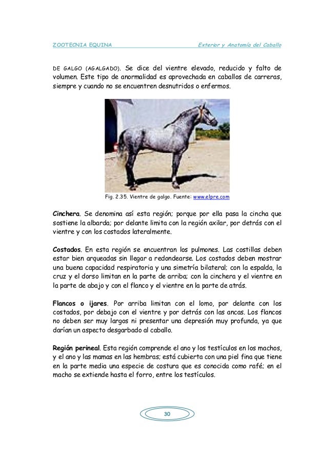 El juego de carreras de caballo muy desagradable