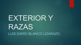 EXTERIOR Y
RAZAS
LUIS DARÍO BLANCO LIZARAZO.
 