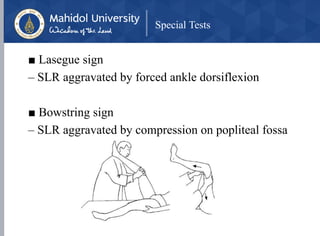 Special Tests
■ Lasegue sign
– SLR aggravated by forced ankle dorsiflexion
■ Bowstring sign
– SLR aggravated by compression on popliteal fossa
 