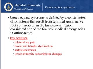 Cauda equina syndrome
• Cauda equina syndrome is defined by a constellation
of symptoms that result from terminal spinal nerve
root compression in the lumbosacral region
considered one of the few true medical emergencies
in orthopaedics
• key features
• bilateral leg pain
• bowel and bladder dysfunction
• saddle anesthesia
• lower extremity sensorimotor changes
 