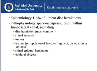 Cauda equina syndrome
• Epidemiology 1-6% of lumbar disc herniations
• Pathophysiology space-occupying lesion within
lumbosacral canal, including
• disc herniation (most common)
• spinal stenosis
• tumors
• trauma (retropulsion of fracture fragment, dislocation or
collapse)
• spinal epidural hematoma
• epidural abscess
 