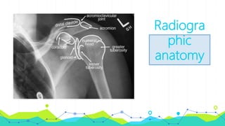 Radiogra
phic
anatomy
 