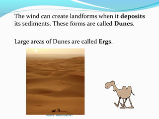 The wind can create landforms when it deposits
its sediments. These forms are called Dunes.
Large areas of Dunes are called Ergs.
Autora: Marta GarcíaT.
 