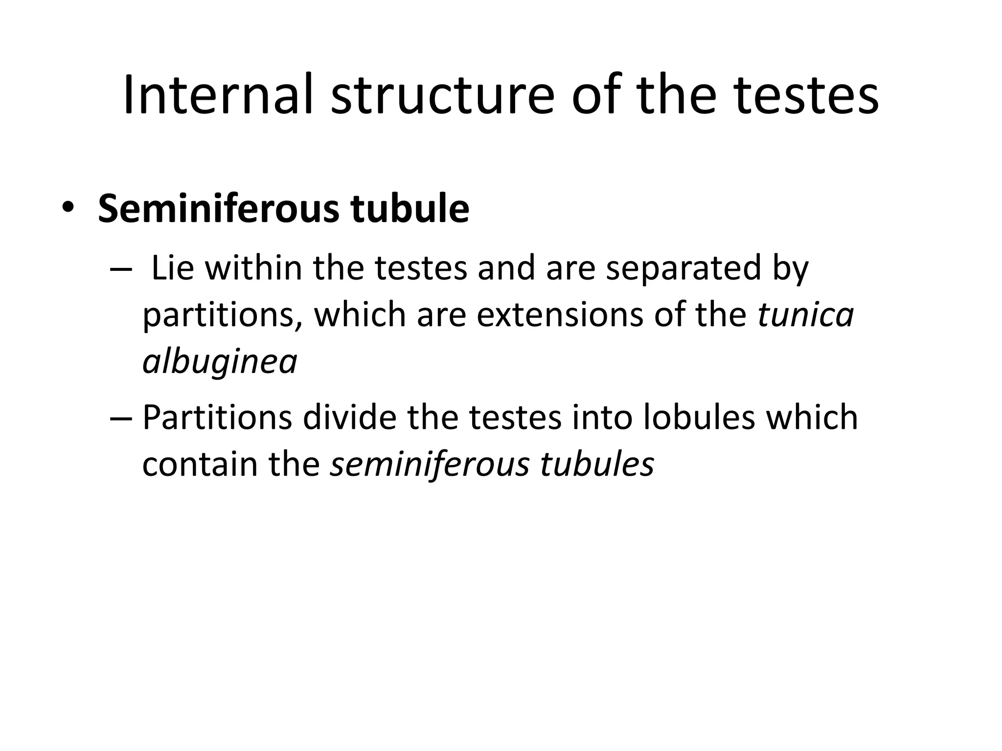 External and internal structure of testes | PPTX
