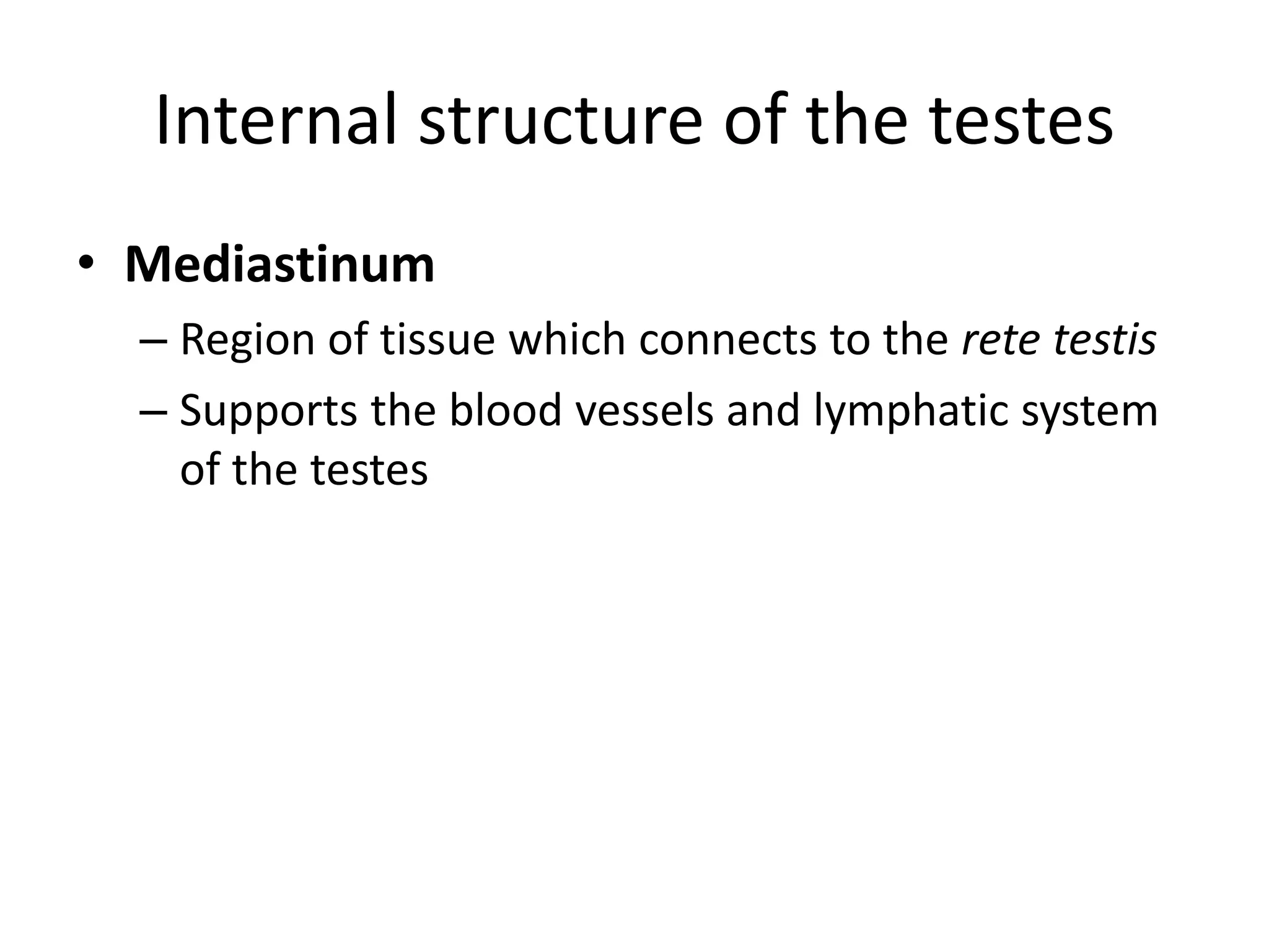 External and internal structure of testes | PPTX