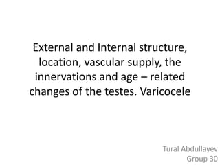 External and Internal structure,
location, vascular supply, the
innervations and age – related
changes of the testes. Varicocele
Tural Abdullayev
Group 30
 