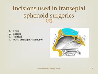 
drtbalu's otolaryngology online 31
Incisions used in transeptal
sphenoid surgeries
1. Freer
2. Killian
3. Vertical
4. Bony cartilaginous junction
 
