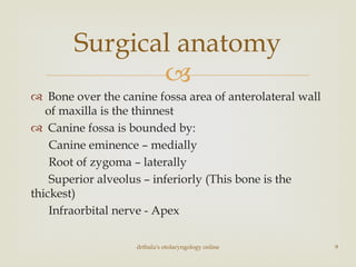 
 Bone over the canine fossa area of anterolateral wall
of maxilla is the thinnest
 Canine fossa is bounded by:
Canine eminence – medially
Root of zygoma – laterally
Superior alveolus – inferiorly (This bone is the
thickest)
Infraorbital nerve - Apex
Surgical anatomy
drtbalu's otolaryngology online 9
 