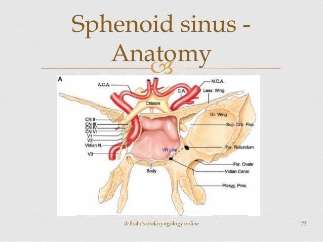 External Approaches To Sinus Surgery