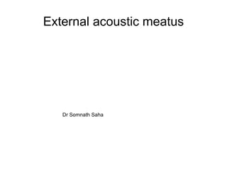 External acoustic meatus
Dr Somnath Saha
 