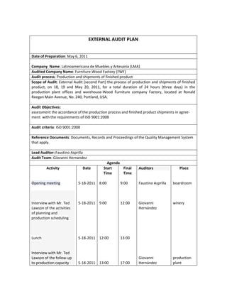 External audit plan | PDF