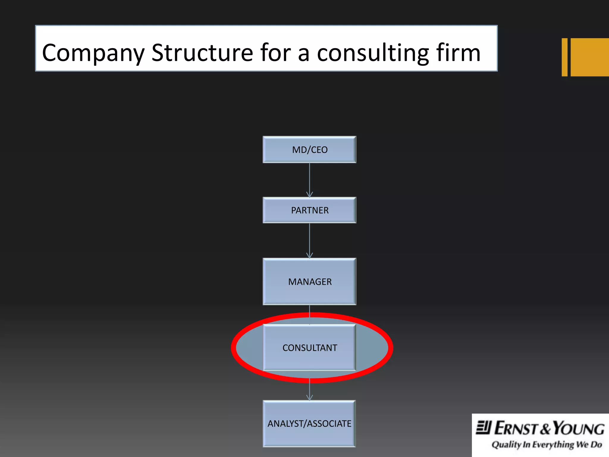 Company Structure for a consulting firm

MD/CEO

PARTNER

MANAGER

CONSULTANT

ANALYST/ASSOCIATE

 