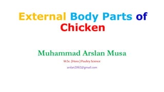 External Body Parts of
Chicken
Muhammad Arslan Musa
M.Sc.(Hons.) Poultry Science
arslan2062@gmail.com
 