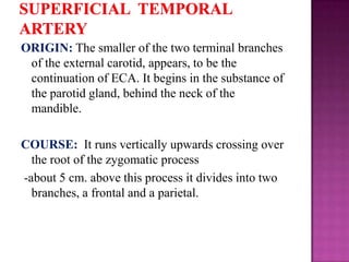 ORIGIN: The smaller of the two terminal branches
of the external carotid, appears, to be the
continuation of ECA. It begins in the substance of
the parotid gland, behind the neck of the
mandible.
COURSE: It runs vertically upwards crossing over
the root of the zygomatic process
-about 5 cm. above this process it divides into two
branches, a frontal and a parietal.

 