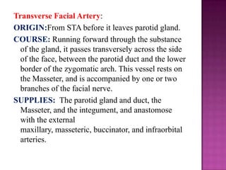 Transverse Facial Artery:
ORIGIN:From STA before it leaves parotid gland.
COURSE: Running forward through the substance
of the gland, it passes transversely across the side
of the face, between the parotid duct and the lower
border of the zygomatic arch. This vessel rests on
the Masseter, and is accompanied by one or two
branches of the facial nerve.
SUPPLIES: The parotid gland and duct, the
Masseter, and the integument, and anastomose
with the external
maxillary, masseteric, buccinator, and infraorbital
arteries.

 