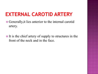  Generally,it

lies anterior to the internal carotid

artery.
 It

is the chief artery of supply to structures in the
front of the neck and in the face.

 