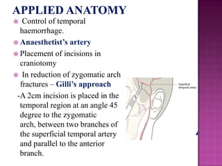Control of temporal
haemorrhage.
 Anaesthetist’s artery
 Placement of incisions in
craniotomy
 In reduction of zygomatic arch
fractures – Gilli’s approach
-A 2cm incision is placed in the
temporal region at an angle 45
degree to the zygomatic
arch, between two branches of
the superficial temporal artery
and parallel to the anterior
branch.


 
