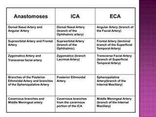 Anastomoses

ICA

ECA

Dorsal Nasal Artery and
Angular Artery

Dorsal Nasal Artery
(branch of the
Ophthalmic artery)

Angular Artery (branch of
the Facial Artery)

Supraorbital Artery and Frontal
Artery

Supraorbital Artery
(branch of the
Ophthalmic)

Frontal Artery (terminal
branch of the Superficial
Temporal Artery)

Zygomatico Artery and
Transverse facial artery

Zygomatico (branch
Lacrimal Artery)

Transverse Facial Artery
(branch of Superficial
Temporal Artery)

Branches of the Posterior
Ethmoidal Artery and branches
of the Sphenopalatine Artery

Posterior Ethmoidal
Artery

Sphenopalatine
Artery(branch of the
Internal Maxillary)

Cavernous branches and
Middle Meningeal artery

Cavernous branches
from the cavernous
portion of the ICA

Middle Meningeal Artery
(branch of the Internal
Maxillary)

 