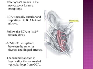-ICA doesn‘t branch in the
neck,except for rare
exceptions.
-ECA is usually anterior and
superficial to ICA but not
always.
-Follow the ECA to its 2nd
branch,atleast
-A 2-0 silk tie is placed
between the superior
thyriod and lingual arteries.
-The wound is closed in
layers after the removal of
vesicular loop from CCA .

 