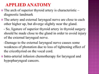 arch of superior thyroid artery is characteristic –
diagnostic landmark
 The artery and external laryngeal nerve are close to each
other higher up, but diverge slightly near the gland.
- So, ligature of superior thyroid artery in thyroid surgery
should be made close to the gland in order to avoid injury
of the external laryngeal nerve.
-Damage to the external laryngeal nerve causes some
weakness of phonation due to loss of tightening effect of
the cricothyriod on the vocal cord.
 Intra-arterial infusion chemotherapy for laryngeal and
hypopharyngeal cancers.
 The

 