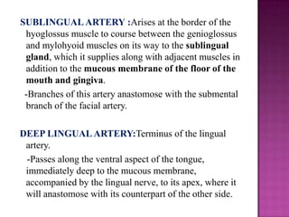 SUBLINGUAL ARTERY :Arises at the border of the
hyoglossus muscle to course between the genioglossus
and mylohyoid muscles on its way to the sublingual
gland, which it supplies along with adjacent muscles in
addition to the mucous membrane of the floor of the
mouth and gingiva.
-Branches of this artery anastomose with the submental
branch of the facial artery.
DEEP LINGUAL ARTERY:Terminus of the lingual
artery.
-Passes along the ventral aspect of the tongue,
immediately deep to the mucous membrane,
accompanied by the lingual nerve, to its apex, where it
will anastomose with its counterpart of the other side.

 