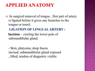 

In surgical removal of tongue , first part of artery
is ligated before it gives any branches to the
tongue or tonsil.
LIGATION OF LINGUAL ARTERY :
Incision – circling the lower pole of
submandibular gland.
- Skin, platysma, deep fascia
incised, submandibular gland exposed
, lifted, tendon of diagastric visible.

 