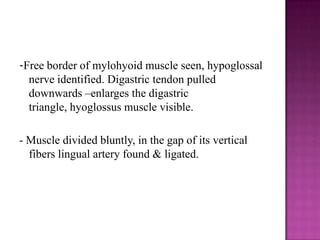 -Free border of mylohyoid muscle seen, hypoglossal
nerve identified. Digastric tendon pulled
downwards –enlarges the digastric
triangle, hyoglossus muscle visible.
- Muscle divided bluntly, in the gap of its vertical
fibers lingual artery found & ligated.

 
