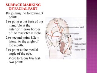 SURFACE MARKING
OF FACIAL PART
By joining the following 3
points.
1)A point o the base of the
mandible at the
anteriorinferior border
of the masseter muscle.
2)A second point 1.2cm
lateral to the angle of
the mouth.
3)A point at the medial
angle of the eye.
More tortuous b/n first
two points.

3

1

2

 
