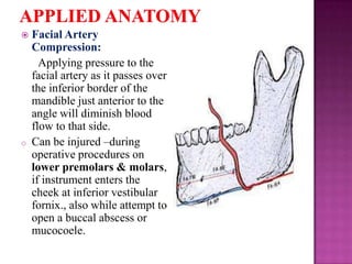 

o

Facial Artery
Compression:
Applying pressure to the
facial artery as it passes over
the inferior border of the
mandible just anterior to the
angle will diminish blood
flow to that side.
Can be injured –during
operative procedures on
lower premolars & molars,
if instrument enters the
cheek at inferior vestibular
fornix., also while attempt to
open a buccal abscess or
mucocoele.

 