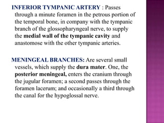 INFERIOR TYMPANIC ARTERY : Passes
through a minute foramen in the petrous portion of
the temporal bone, in company with the tympanic
branch of the glossopharyngeal nerve, to supply
the medial wall of the tympanic cavity and
anastomose with the other tympanic arteries.
MENINGEAL BRANCHES: Are several small
vessels, which supply the dura mater. One, the
posterior meningeal, enters the cranium through
the jugular foramen; a second passes through the
foramen lacerum; and occasionally a third through
the canal for the hypoglossal nerve.

 