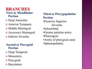 First or Mandibular
Portion
 Deep Auricular.
 Anterior Tympanic.
 Middle Meningeal
 Accessory Meningeal
 Inferior Alveolar.
Second or Pterygoid
Portion
 Deep Temporal.
 Masseteric.
 Pterygoid.
 Buccinator.

Third or Pterygopalatine
Portion
•Posterior Superior
Alveolar.
•Infraorbital.
•Greater palatine artery
•Pharyngeal.
•Aretry of pterygiod canal
•Sphenopalatine.

 